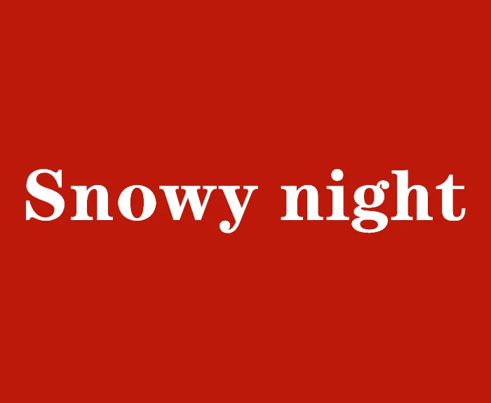 Snowy night Store