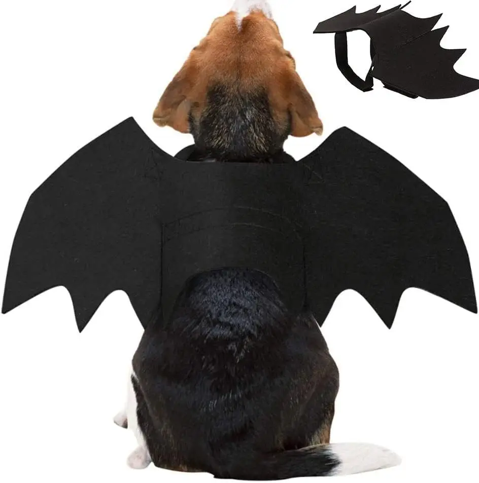 Bat Wings Costume for Dogs and Cats 3