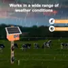 20 Miles Solar Electric Fence Charger 0.5J Energizer Controller for Livestock Prevent Predator Invasion for Poultry No Battery 5