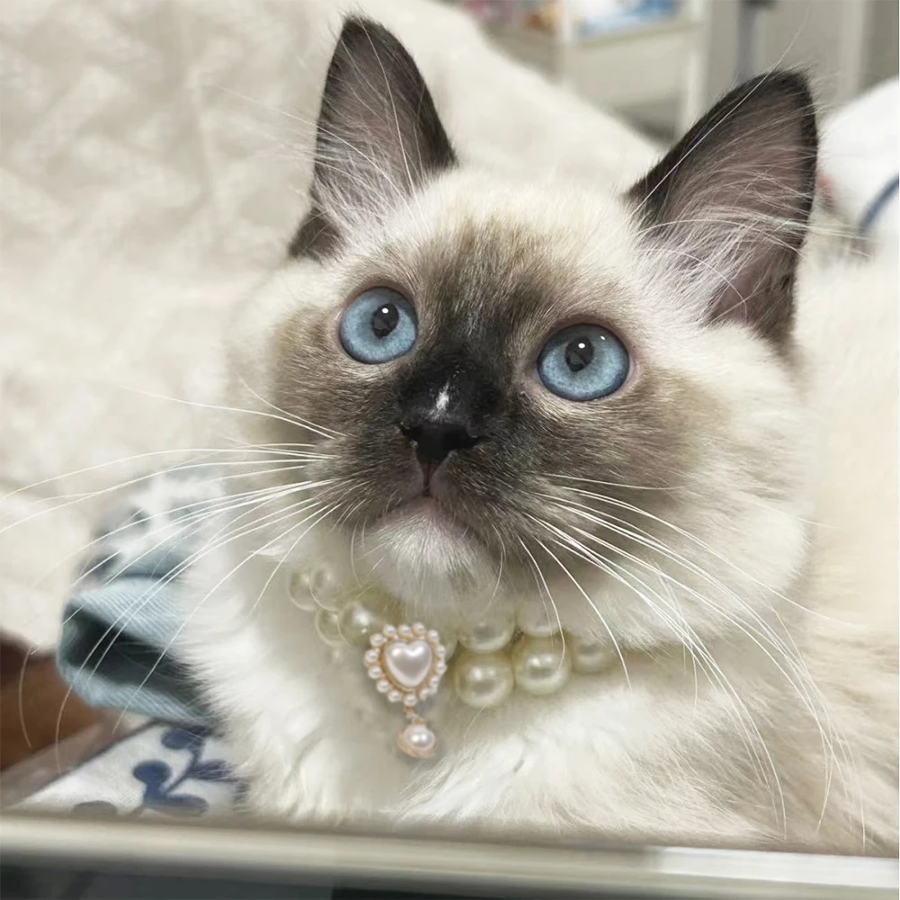 2025 Ellipse Heart Shape Diamond Inlaid Pet Cat Collar Pets Shiny Crystal Collars Accessories for Kitten Dog Collar Cat Necklace