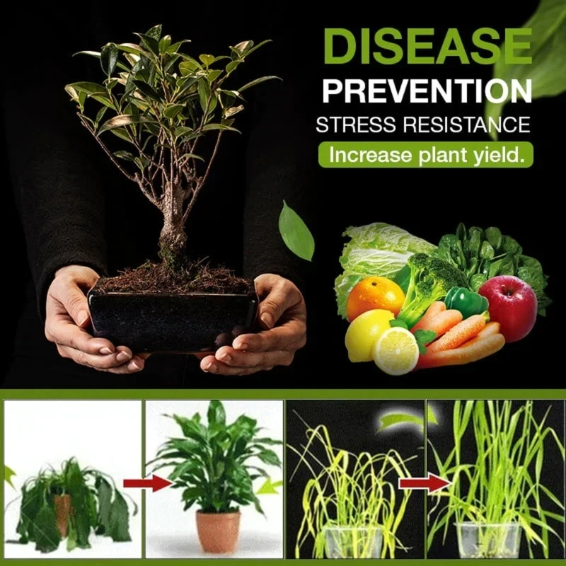 Rooting Plant Flower Activated Mineral Source Prevent Soil Activators Fertilizers Soil Treasure Activators for Garden P15F plant compound fertilizer root stimulator plant fertilizer sticks