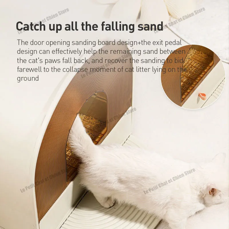 Why Would A Kitten Eat Cat Litter