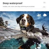 Electric Dog Training Collar Rechargeable Anti Barking Shock Vibration Collar Waterproof Trainer for All Dogs Pet with Clicker 2