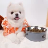 A pet dog bowl in the shape of a cartoon footprint, made of thickened stainless steel, suitable for indoor and outdoor use 2
