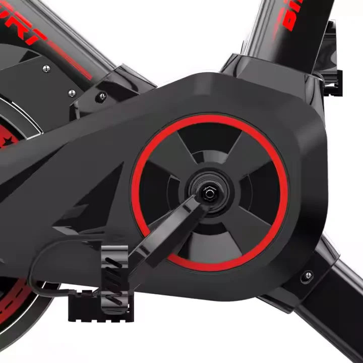 Gym Master Customizable Bodybuilding Home Fitness Spin Bike Exercise Bike Stationary