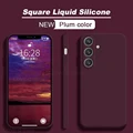 Plum Color