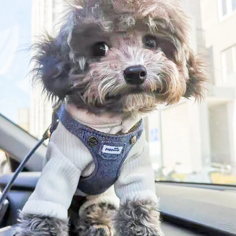 Luxury Dog Vest