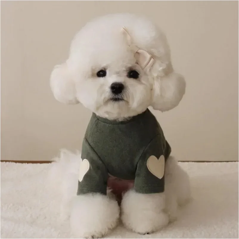 Love Bear Winter Dog Hoodie 2