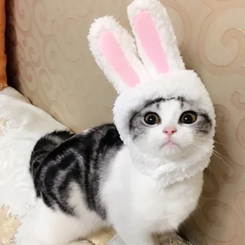 New Fashion Pet Supplies Mini Rabbit Ears Pet Cats Hat Dogs Caps Lovely Style Cross Dressing.jpg