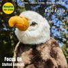 Bald Eagle High Fidelity Eagle Plushie Raptor Falcon Plush Toys Lifelike Animals Simulation Stuffed Doll Kawai Toy Gifts 1