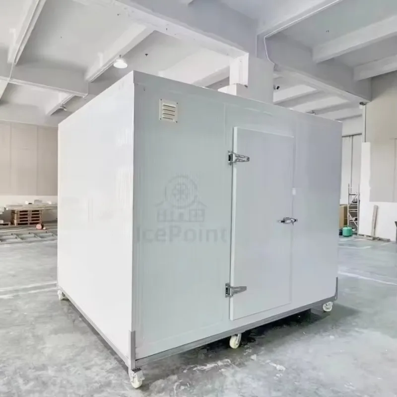 Portable Electric Cold Storage Container 3