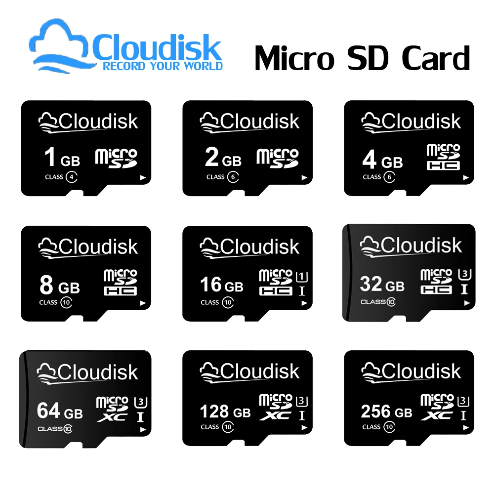 Carte mémoire MicroSD 2 Go - Carte mémoire micro SD - Achat & prix