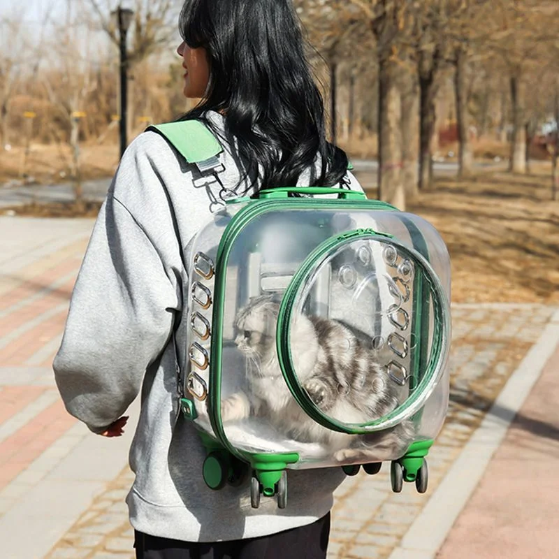 

Pet Trolley Case Transparent Cat Bag Out Portable Large Capacity Space Capsule Dog Cat Backpack Portable Suitcase Cat Carrier