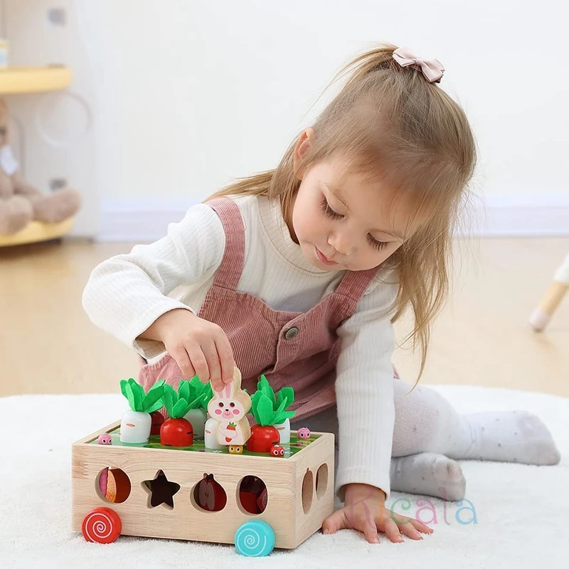 Jogo de colheita de madeira para crianças, brinquedos montessorianos,  brinquedos educativos para aprendizagem precoce para meninos e meninas,  seleção de formas, 1 ano, 2 anos, 3 anos - AliExpress