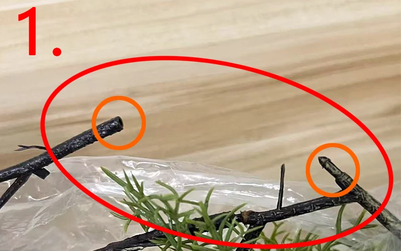 140 cm Künstliche Pflanze Schwarze Knochenmangovide 1 Stück 5 Zweige Hängende Efeu-Grünpflanze für Zuhause Künstliche Blumen Kiefernnadeln Neu – Detail 1
