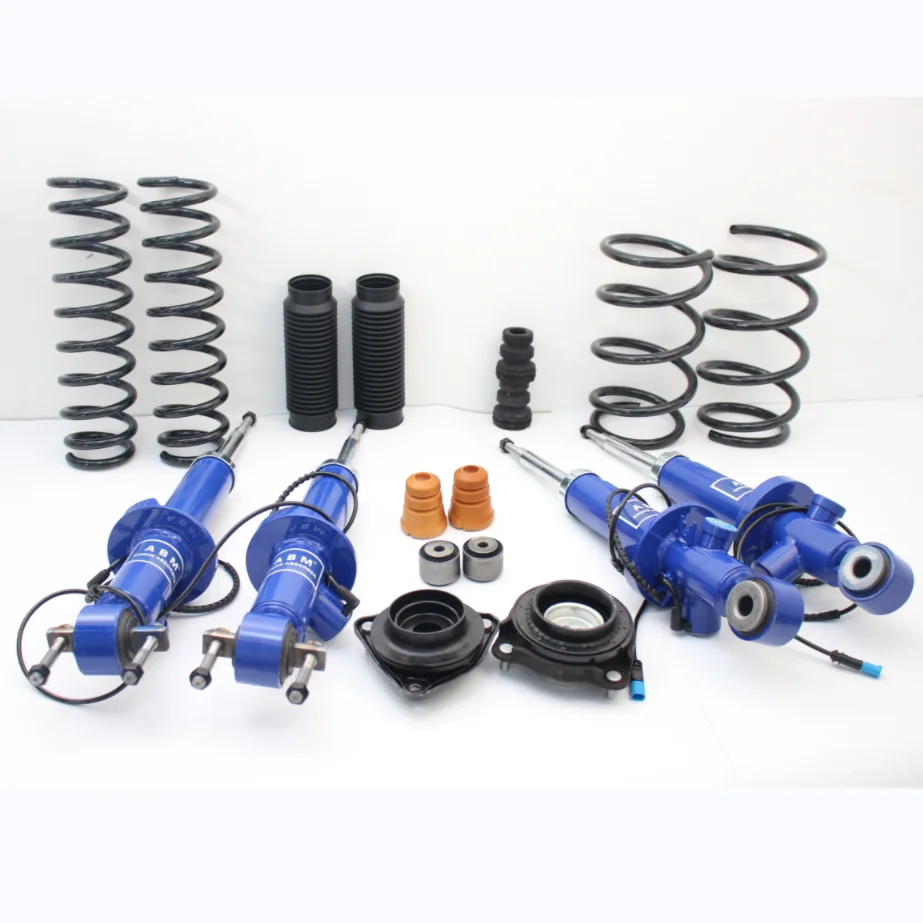 Auto Suspension Parts Shock Absorber for Toyota Honda Nissan BMW Mitsubishi Ford Lexus Audi VW Mercedes Porsche Damper 4