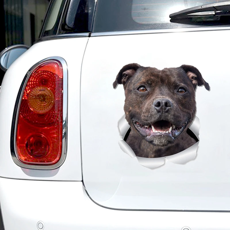 Рисунок 2 - Автомобильная наклейка Z283 #