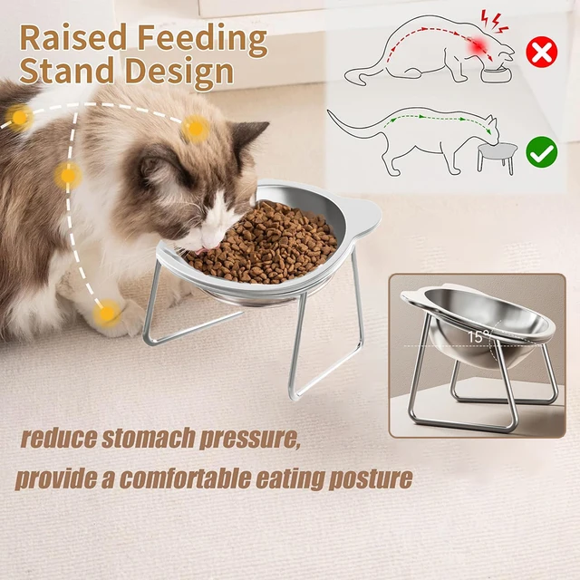 Stainless Steel Cat Bowls Raised Whisker Fatigue Relief Cat Plates Pet Water Dish Kitten Bowls Pet Bowls for Cats Food Bowls 5