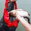 Mini Portable Fishing Bundle Mouth Fish Net Bag Mesh Oxford Fish Cage Fishing Net Bag Foldable Fishing Basket Fish Cage 0.5-2m 3