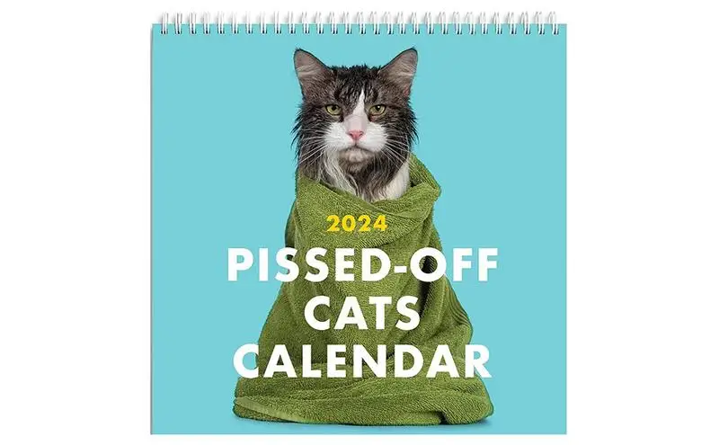 

2024 календарь с котами и злами, календарь с креативным планированием, календарь с злым котом, Забавный настенный художественный настенный календарь, домашний планировщик для ежедневного использования