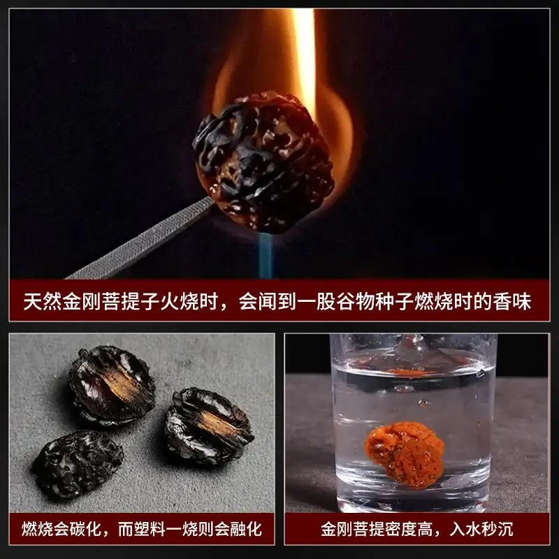 õ�� ���� ŷ ���� ŷ �� �� ����, Bodhi ������ WenPlay ȣ�� ��ó�� ����, �л� ����� �ڵ���� �ڵ� ��Ʈ��