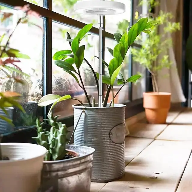 Led-Növény Növekedés Világos Teljes Spektrum Beltéri Napsugárzású Növények Sávszalagok Auto Be- És Kikapcsolt Lámpa Rudat 3 Ciklus Időzítéssel - Image 3