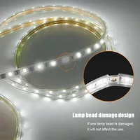 60Leds/m SMD 5050 Led Strip Light 220V High Brightness Waterproof Flexible Kitchen Outdoor Garden Led Lights 5m10m EU plug 2