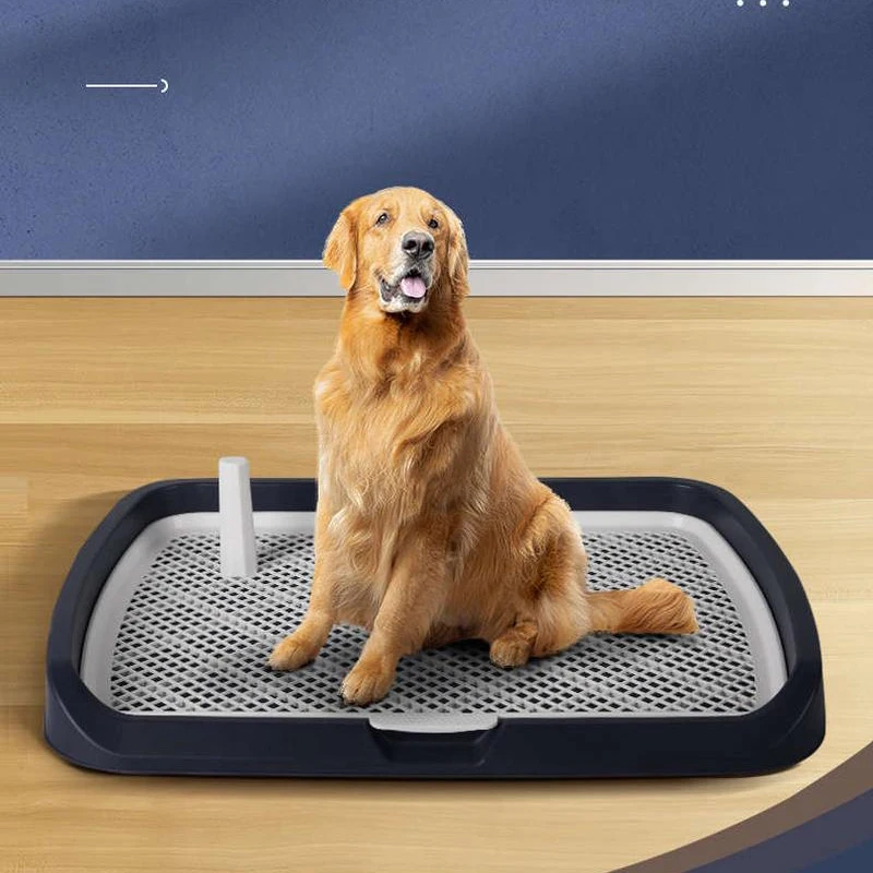 Accessori Puppy Dog Toilet Training Pads Articoli Dog Vasino Tray Dispenser Per La Pulizia Della Zampa Bolsas Caca Perro Pet Supplies Cy50Dt