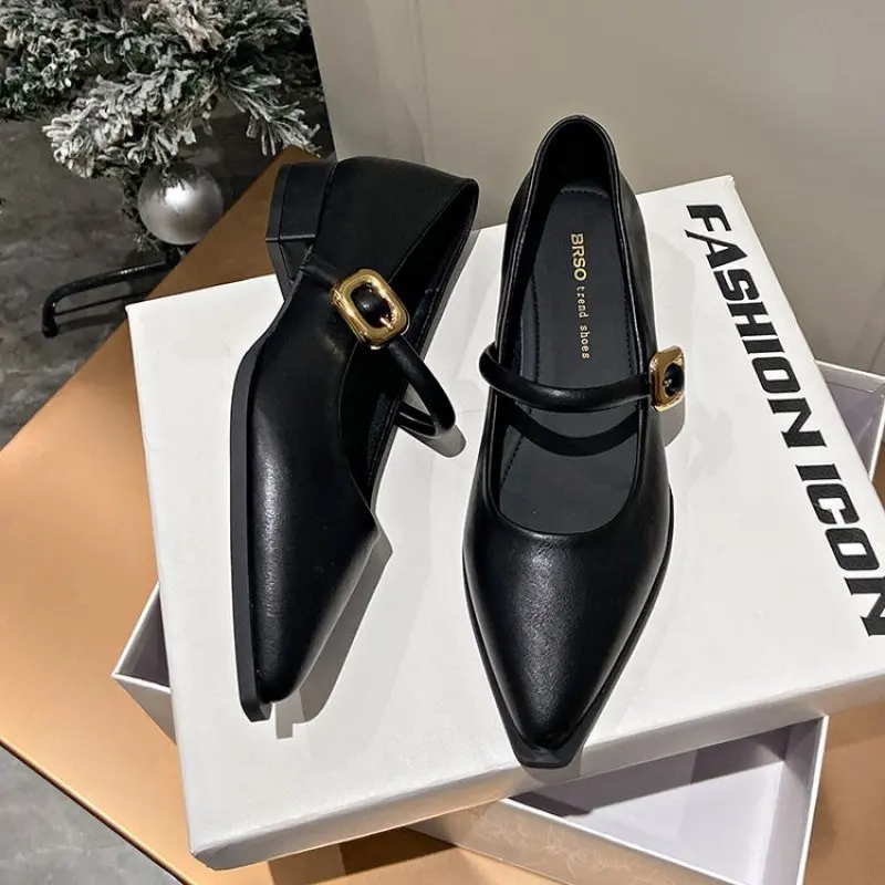 Pointed Toe High Heels Women Shoes New Chunky Dress Party Shoes 2024 Spring Summer Sandals Designer Brand Pumps Female Plus Size