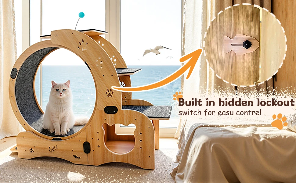 cat Wheel