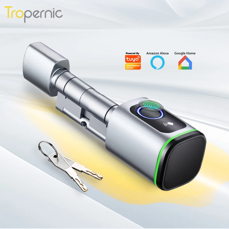 Fingerprint Lock Cylinder Door Locks Smart Electronic Lock Cylinder 60mm Keyless Aliexpress