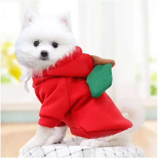 Manteau capuche en peluche pour chien v tement d hiver chaud mignon Costume pour chiot chat