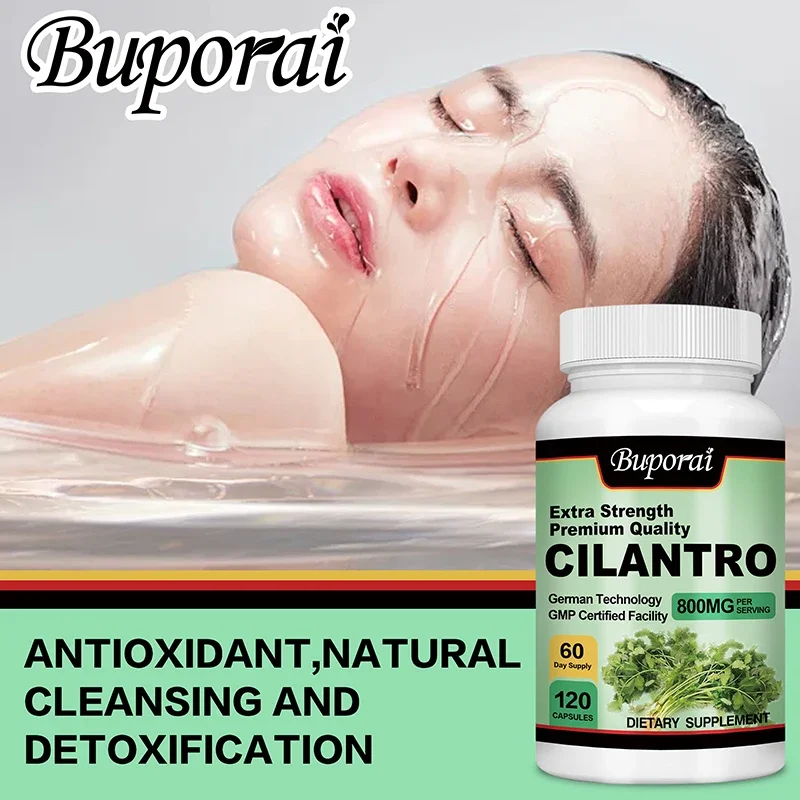 Cilantro Supplement Rich Source of Antioxidants Natural Cleansing Detox
