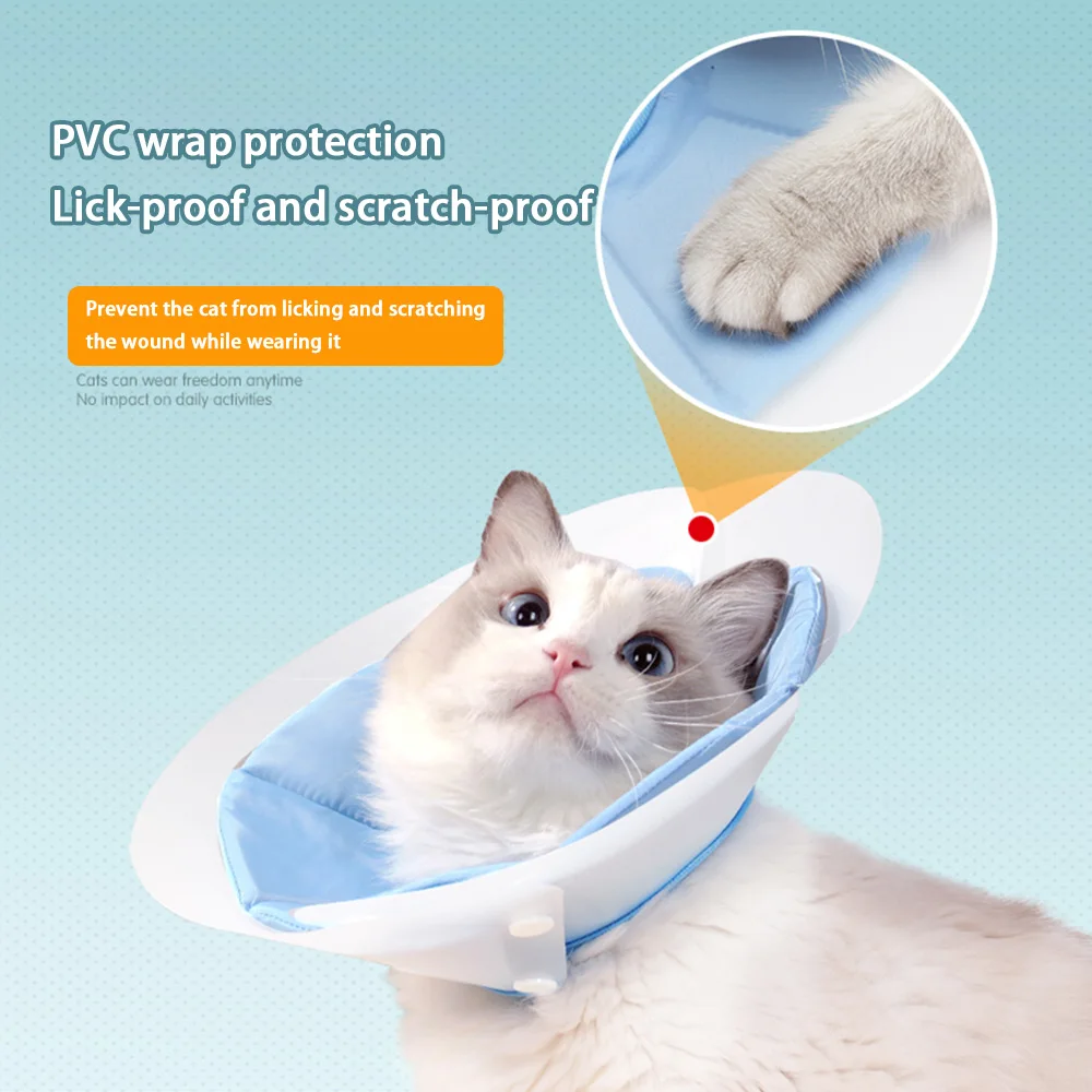 Dual-Layer Cat Recovery Cone
