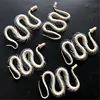 1/2/3/5/10 pcs Real Snake Skeleton Skull Animal Specimens, Taxidermy, About 30-40cm 6