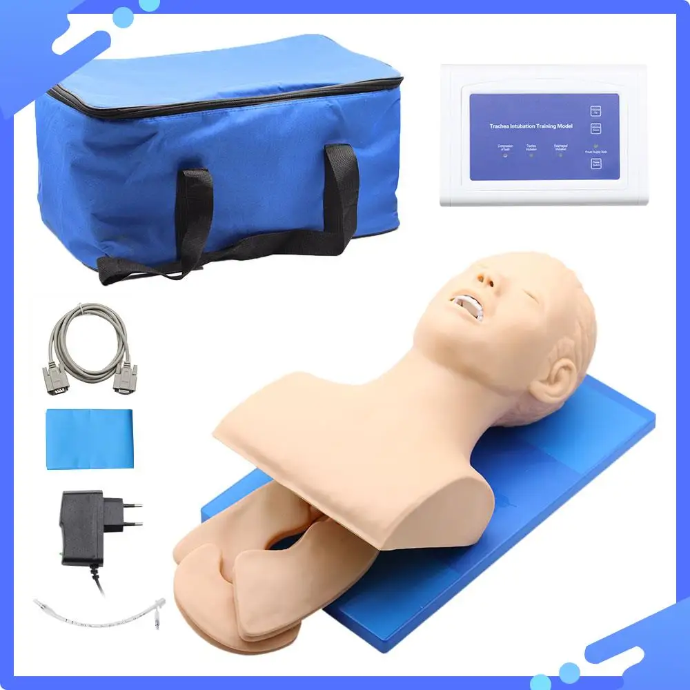 Electronic Human Tracheal Training Model Intubation Training Manikin with Tooth Pressure Alarm