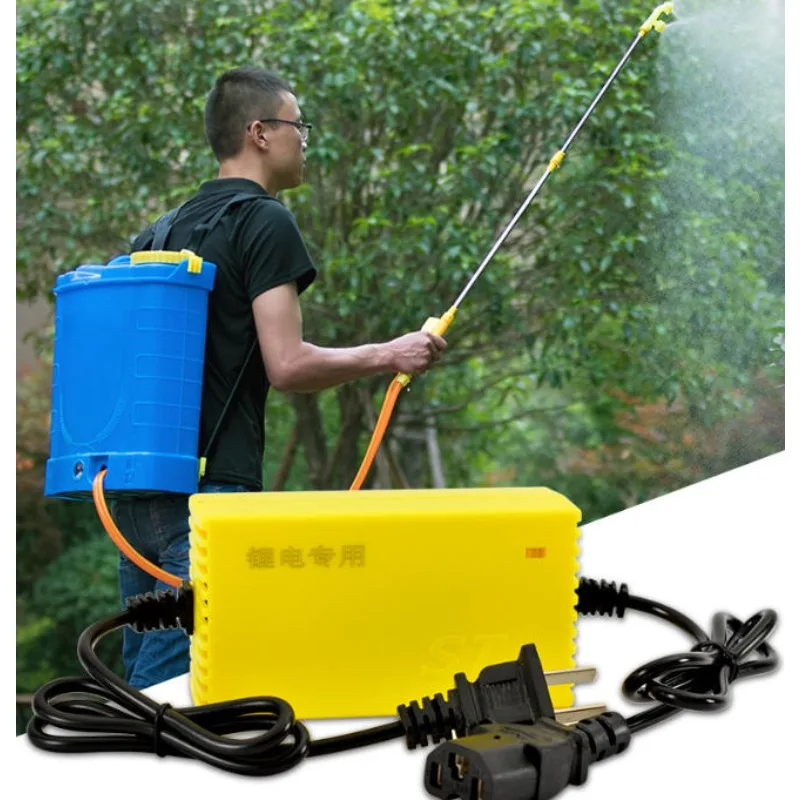 농업 및 소형 살충제 분무기용 HD 12V 2A 스마트 리튬이온 LiFePO4 리튬 배터리 충전기 AC220V 12.6V EU AU UK US 플러그