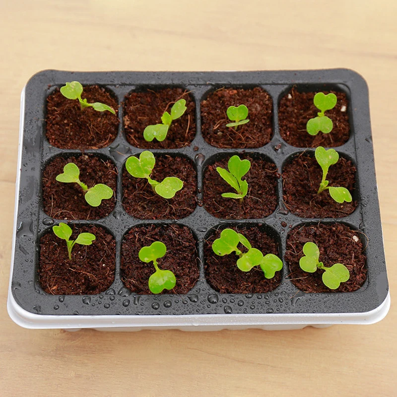 Seedling Box 12 Holes Sowing Nursery Pots Insulation with Lid Succulent Plant Seed Sprout Germination Seedling Pot