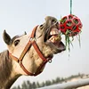 Horse Treat Ball Hay Feeder Toy Ball Hanging Feeding Toy for Horse Horse Goat Sheep Relieve Stress Horse Treat Ball 1