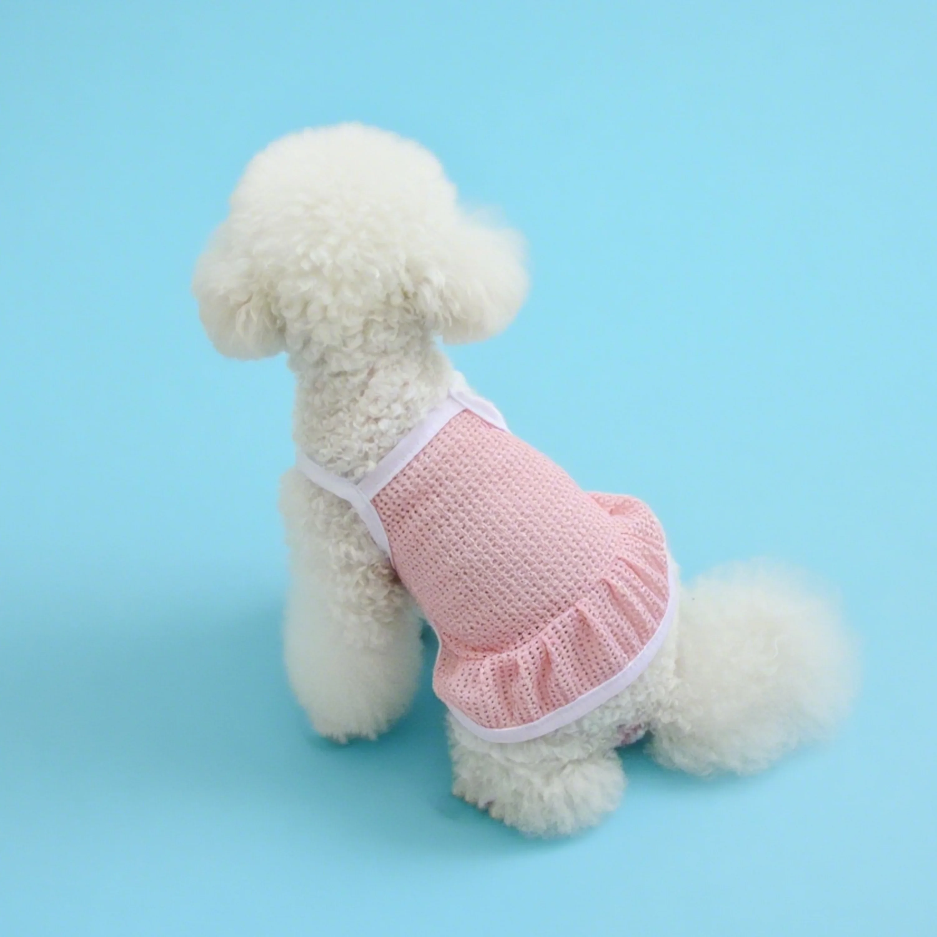 NONECN mesh pet dress for cats and dogs