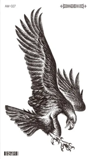 Image 28