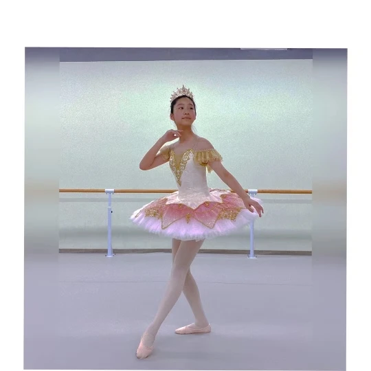 chinese dress ladies Girl's Pink Ballerina Dress with Embroidery