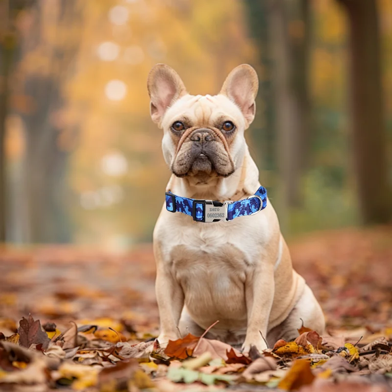 Dog Collar Adjustable Personalized Nylon Puppy Id Tag Accessories Buckle Free Engrave Pet Name Necklace