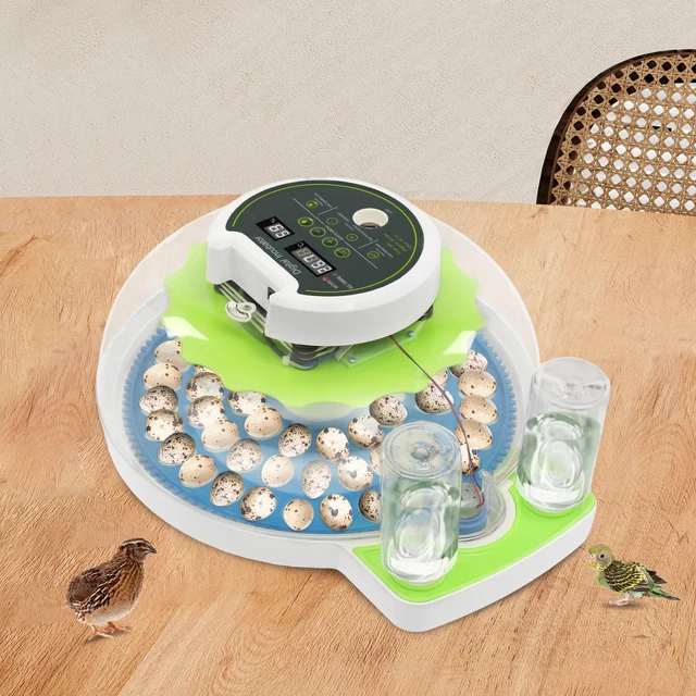 For 60 Quail Eggs Green +Blue Round ABS Quail Egg Incubator Poultry Quail Incubator with LED Screen