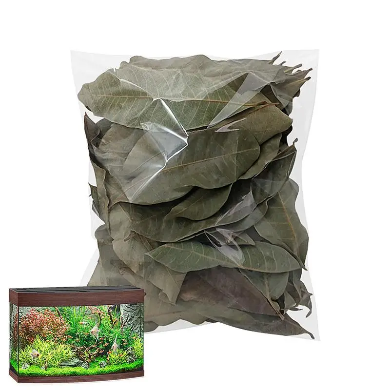 

Betta Shrimp Leaves Betta Fish Tank Accessories And Toys Longan Leaves To Improve Water Quality And Create Realistic Habitat