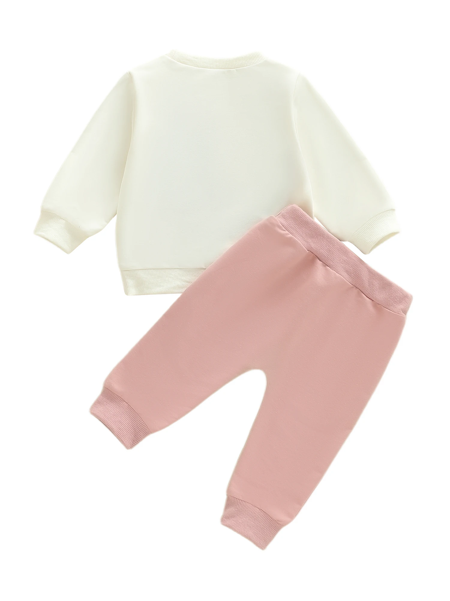 FOCUSNORM 0-4Y Schöne Kinder Mädchen Frühling Herbst Kleidung Sets Brief Blume Stickerei Langarm Pullover Sweatshirt Feste Hosen – Detail 10