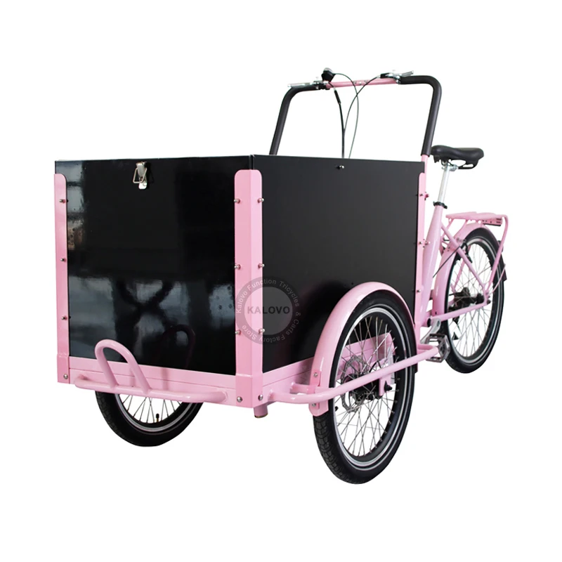 electric dutch cargo bike