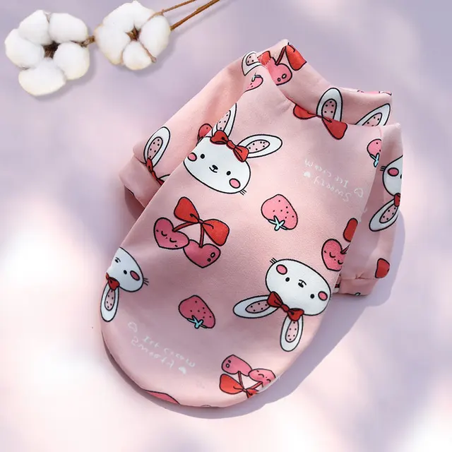 pink-rabbit