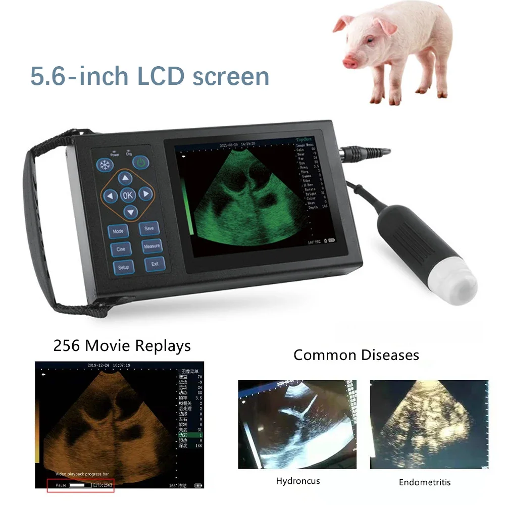 Veterinary Ultrasound Vet Handheld Scanner veterinary pregnancy Ultrasound Machi