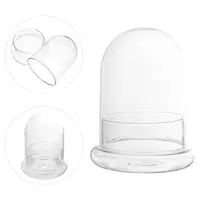 Moss Micro Landscape Bottle Display Cabinets Glasses Borosilicate Flower Pots 2